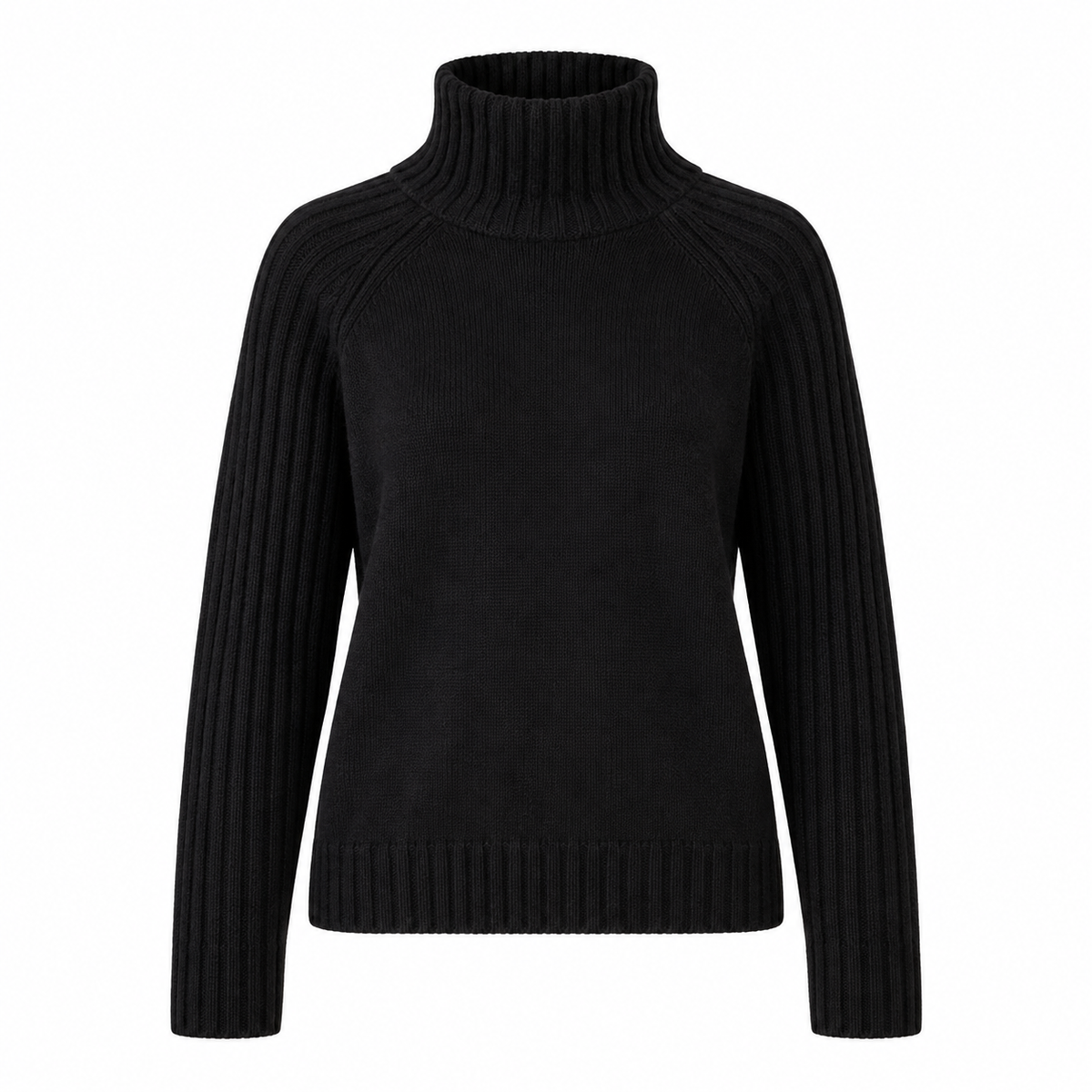 Nora Jumper — Ribbed Roll Neck — Black — product on white background — en-p22-m4